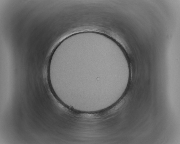 X0000111461500200908101044