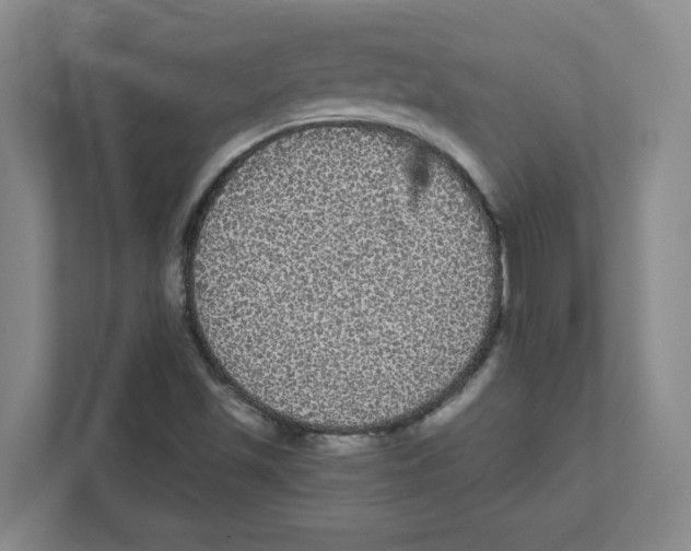 X0000111461501200908101044
