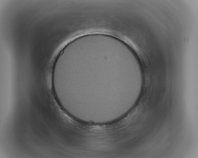 X0000111461504200908101044