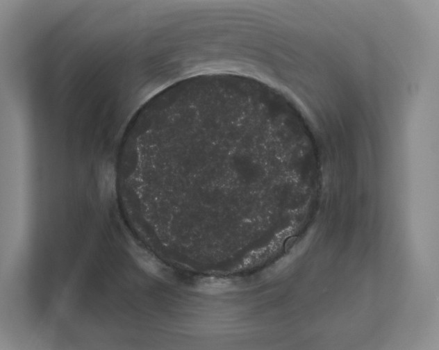 X0000111461505200908101044