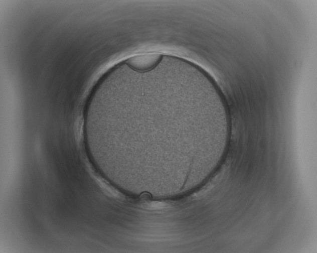 X0000111461507200908101044