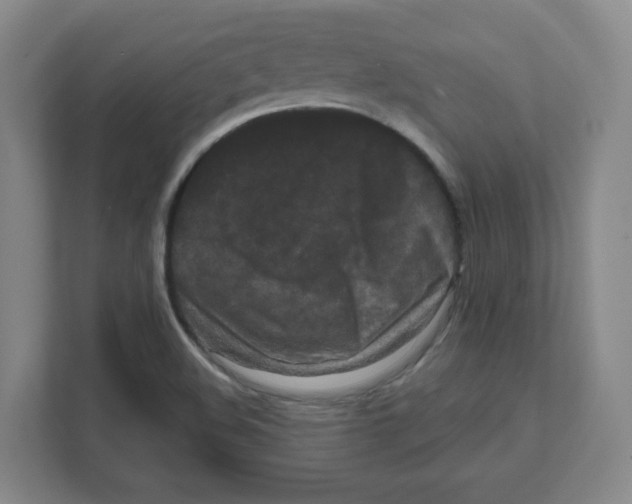 X0000111461508200908101044