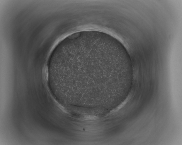 X0000111461509200908101044