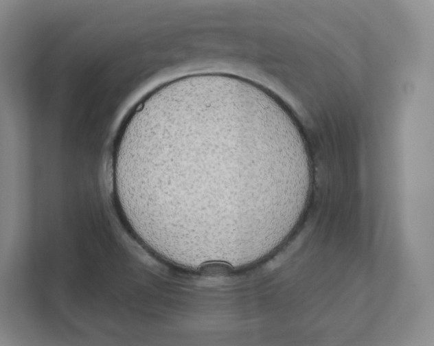 X0000111461510200908101044