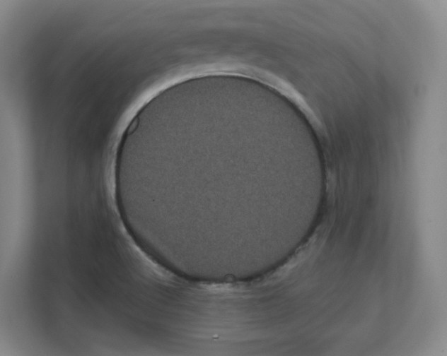 X0000111461512200908101044
