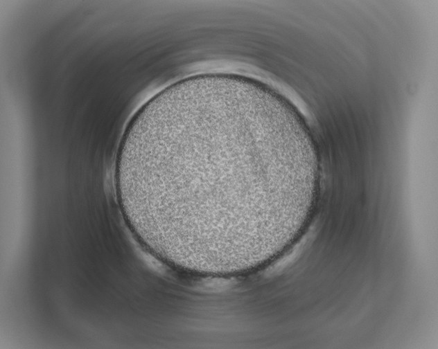 X0000111461513200908101044