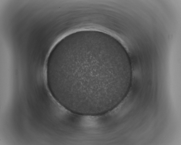 X0000111461514200908101044