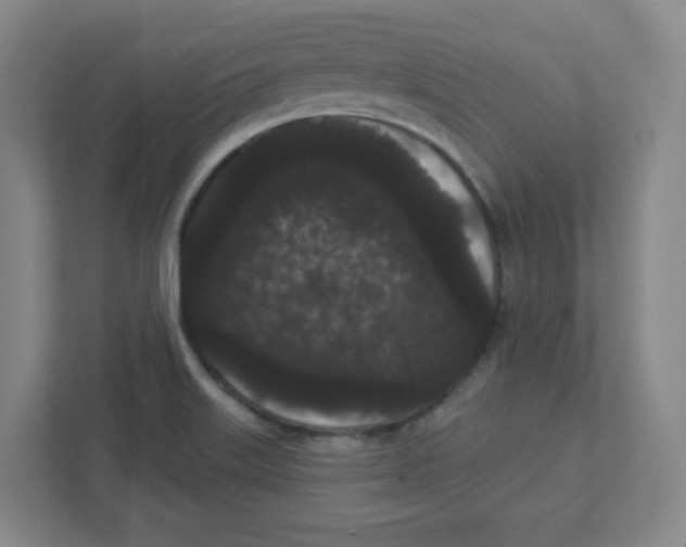 X0000111461515200908101044