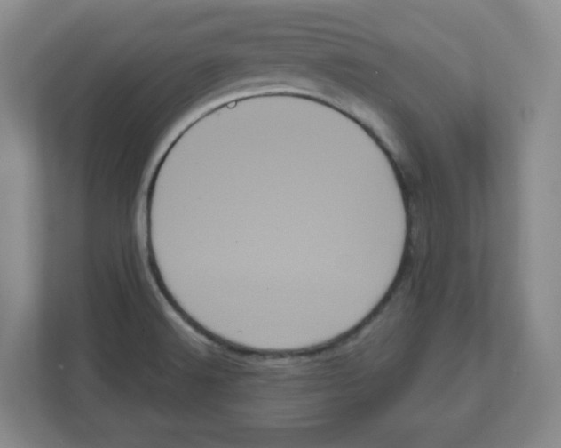 X0000111461516200908101044