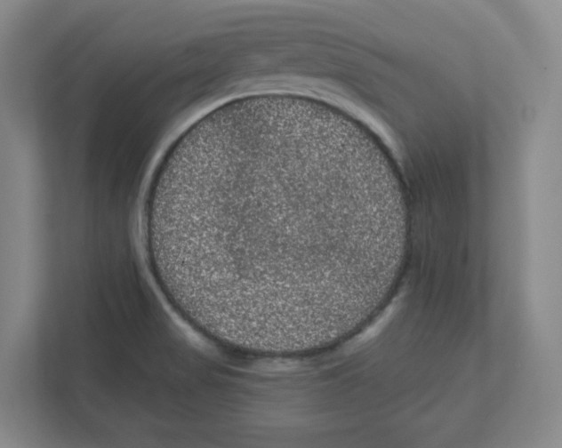 X0000111461517200908101044