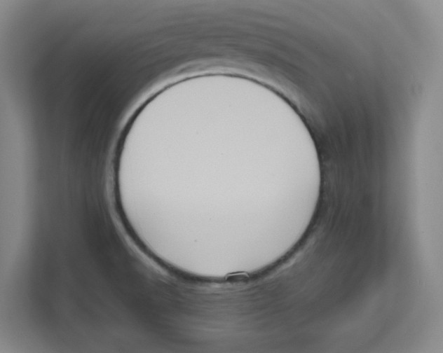 X0000111461518200908101044