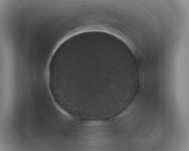 X0000111461519200908101044
