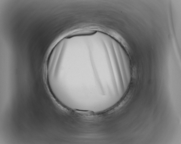 X0000111461520200908101044