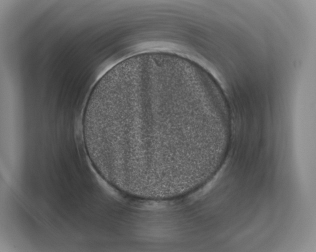 X0000111461521200908101044