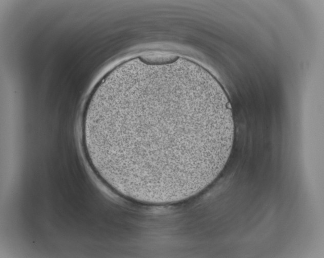 X0000111461523200908101044