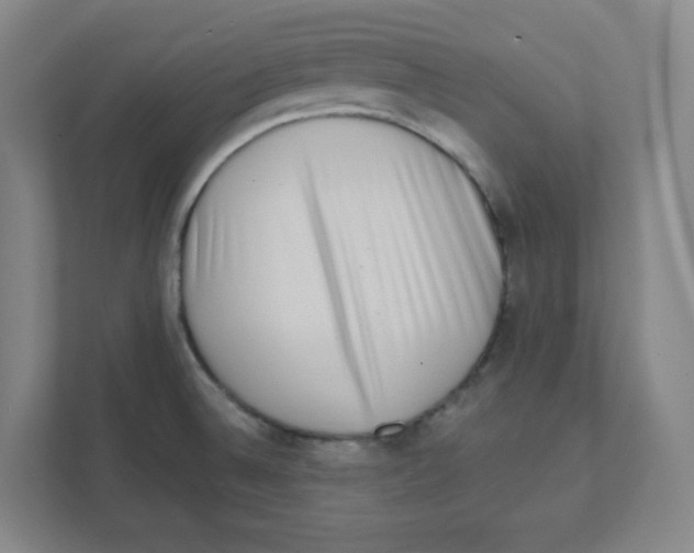 X0000111461524200908101044