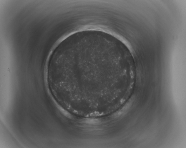 X0000111461525200908101044