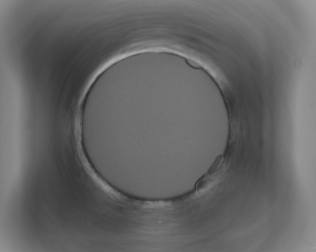 X0000111461526200908101044