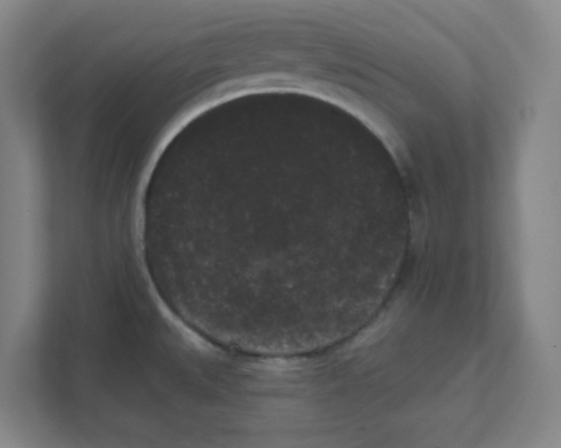 X0000111461527200908101044