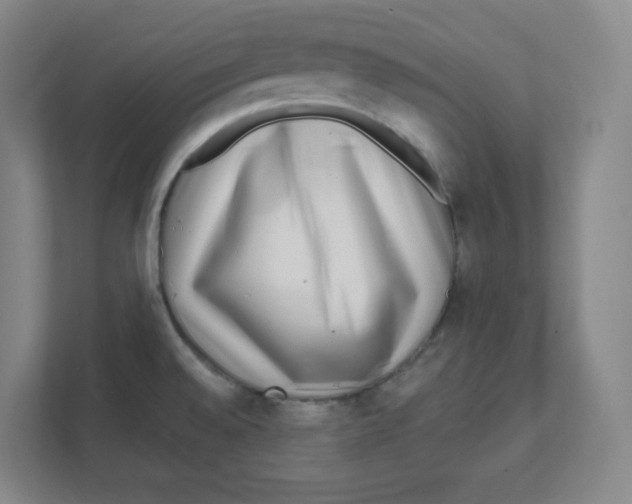 X0000111461528200908101044