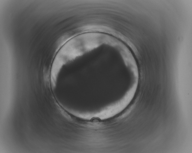 X0000111461529200908101044