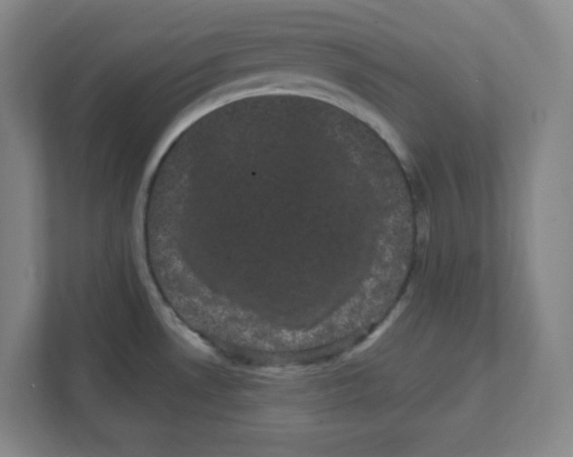 X0000111461530200908101044