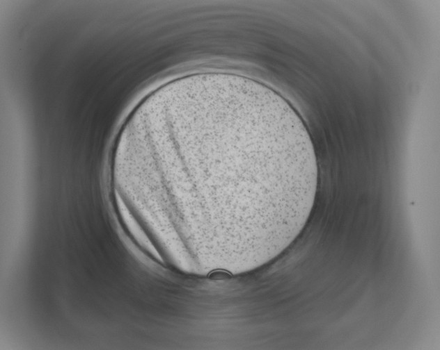X0000111461531200908101044
