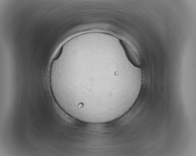 X0000111461532200908101044