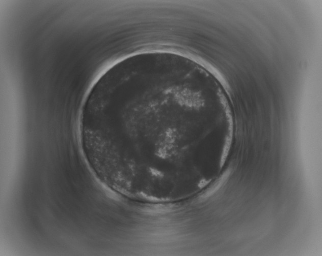 X0000111461533200908101044