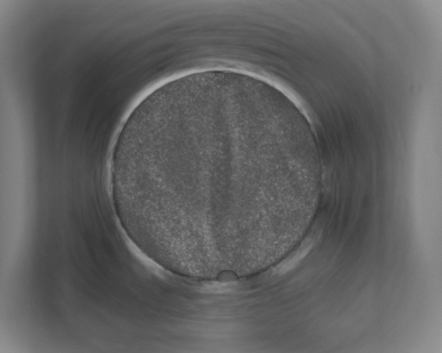 X0000111461535200908101044