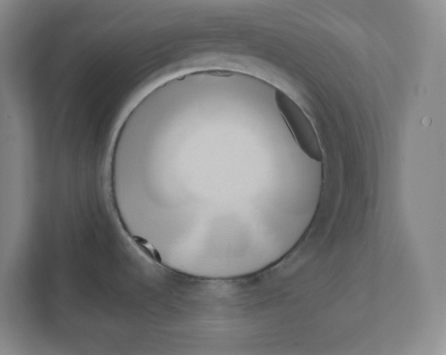 X0000111461536200908101044