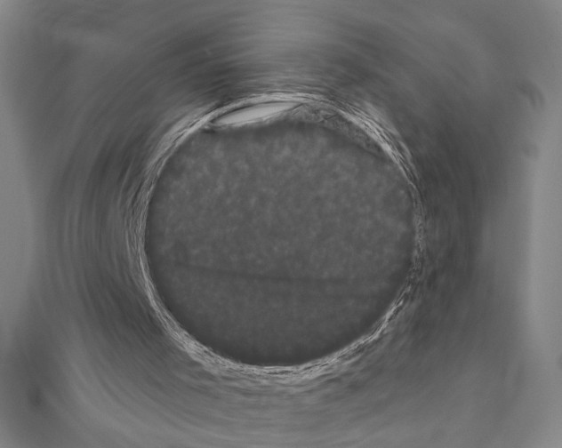 X0000111460001200908241330