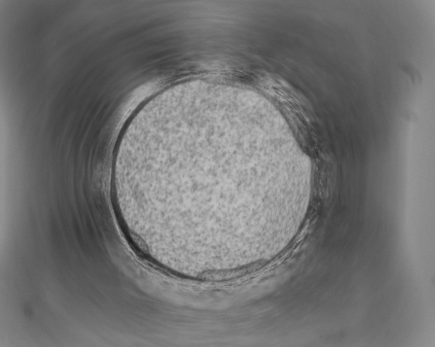 X0000111460003200908241330