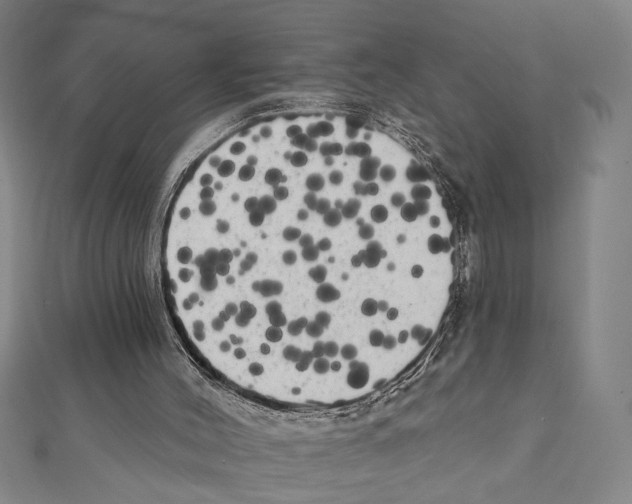 X0000111460004200908241330