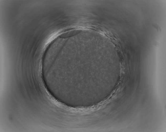 X0000111460005200908241330