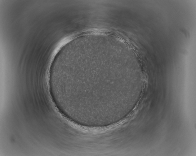 X0000111460006200908241330