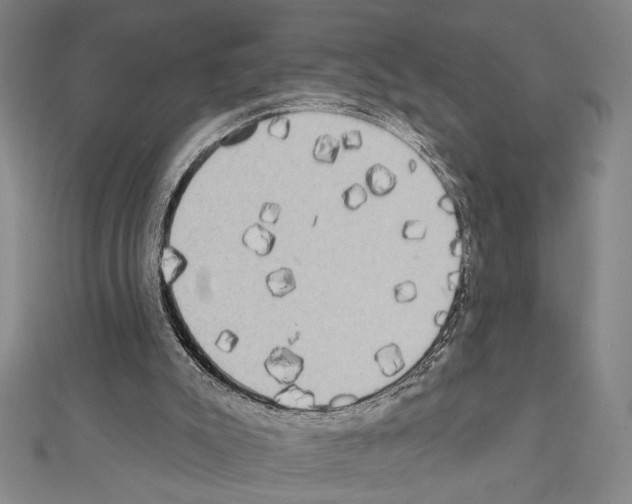 X0000111460007200908241330