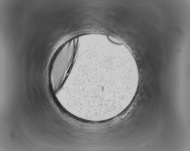 X0000111460008200908241330