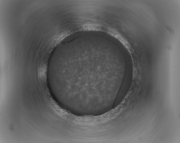 X0000111460009200908241330