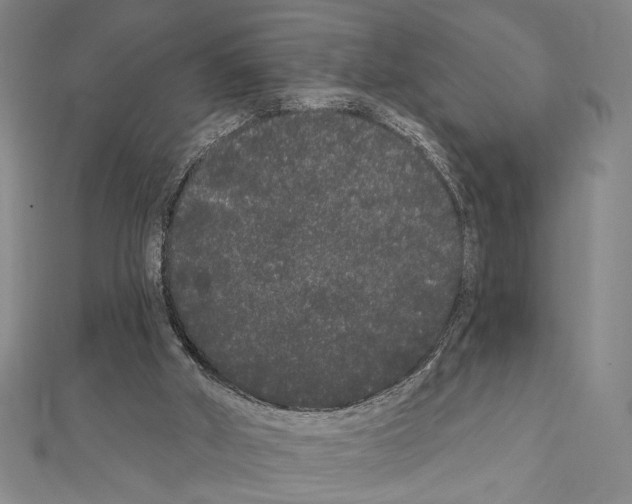X0000111460010200908241330