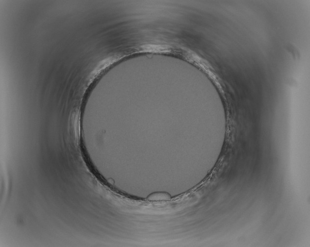 X0000111460011200908241330