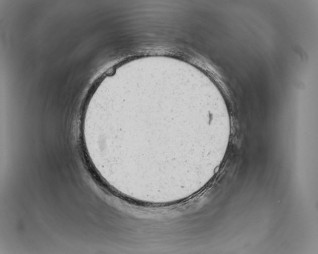 X0000111460012200908241330