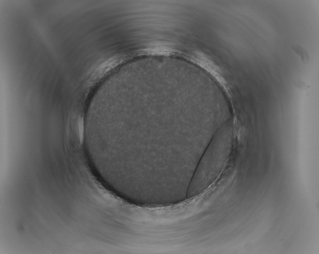 X0000111460013200908241330