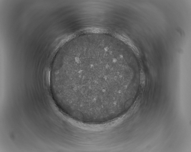 X0000111460014200908241330
