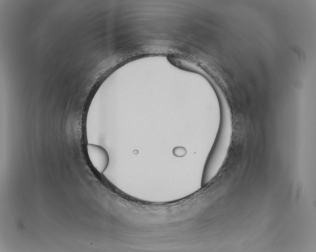 X0000111460015200908241330