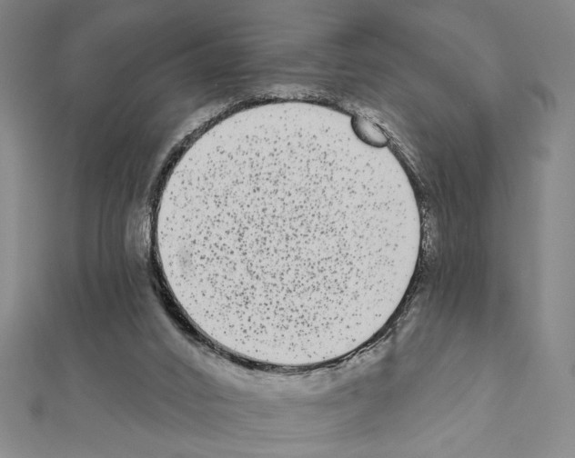 X0000111460016200908241330