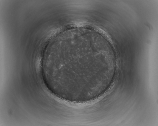X0000111460018200908241330
