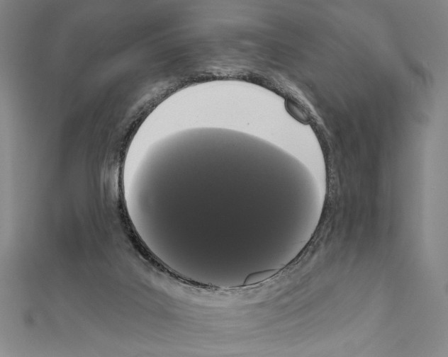 X0000111460019200908241330