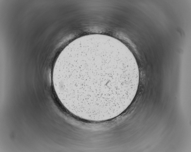 X0000111460020200908241330