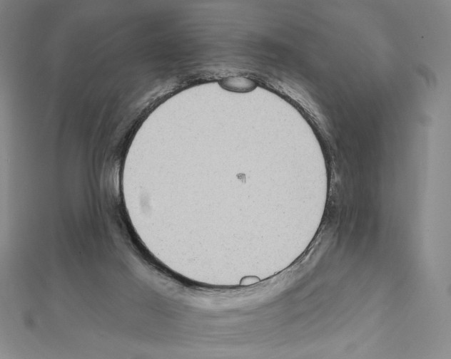 X0000111460021200908241330